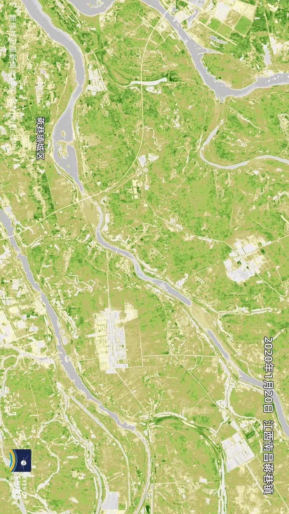 新华社@卫星发现一个信号：中国耕地正在绿起来