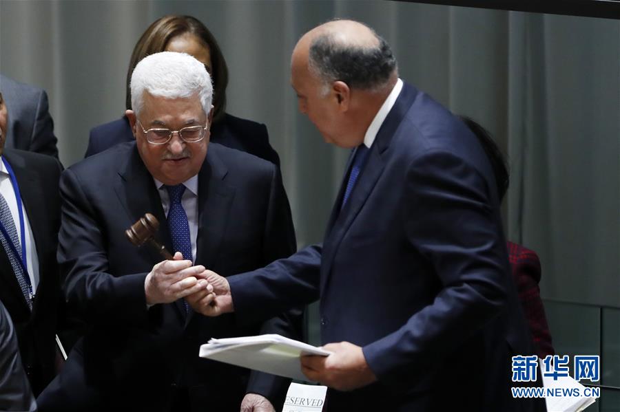 巴勒斯坦接替埃及出任“77国集团和中国”主席国