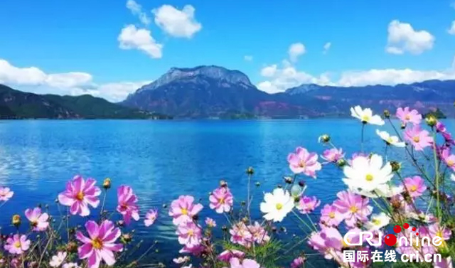 图片默认标题_fororder_08泸沽湖格桑花