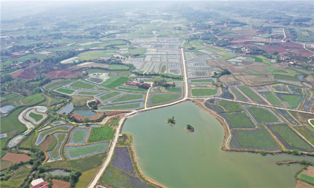 【湖北】【CRI原创】湖北漳河新区全域推进现代都市农业建设