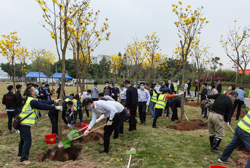广州荔湾开展2020年春季义务植树活动