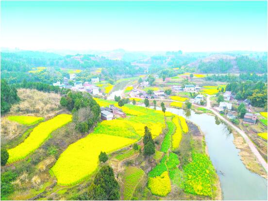 （焦点图，导航成都，移动端）成都：城里城外 尽享“鲜花盛宴”