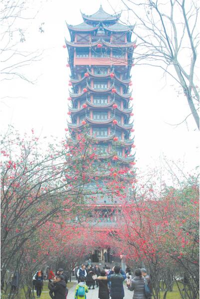 （焦点图，导航成都，移动端）成都：城里城外 尽享“鲜花盛宴”