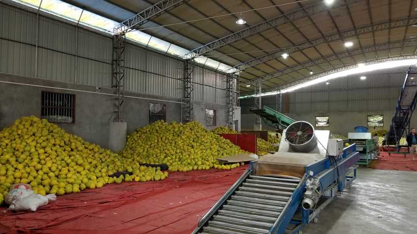 图片默认标题 图片默认标题_fororder_20181128_134525_comps