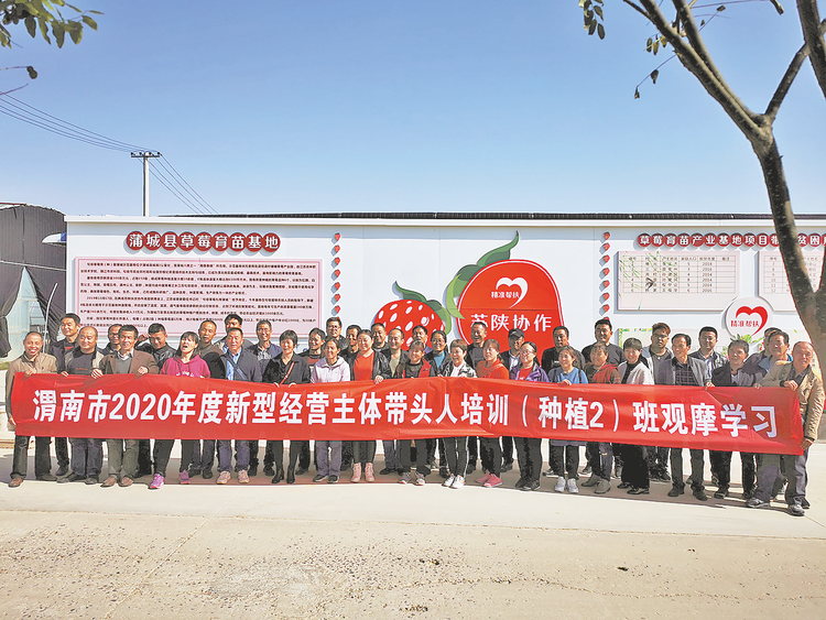 “农”墨重彩谱新篇——渭南市农业农村局2020年工作亮点回眸