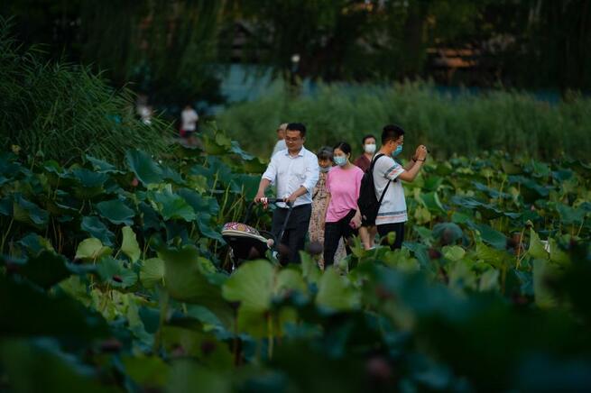 「十三五」、中国の湿地が新たに20.26万ヘクタール増_fororder_夜5-1