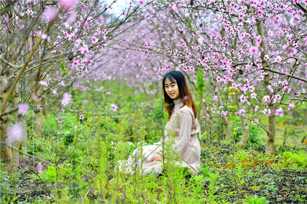 朵朵油菜花盛开在乡间的田野里.彭山处处繁花盛开,美如画卷.