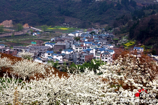 贵州大方格里河：李花盛开乡村美