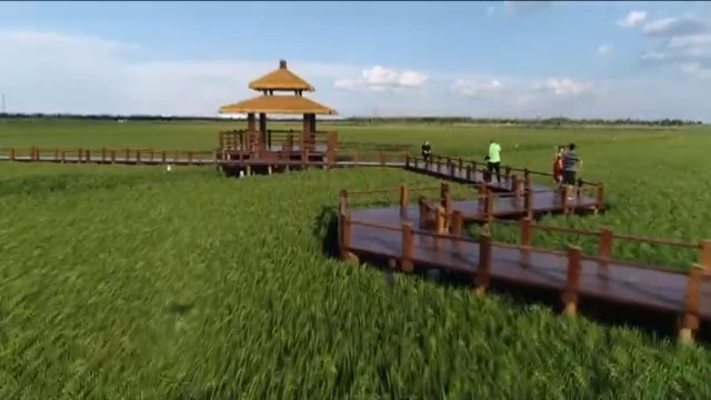 '환히말라야'국제협력포럼 생태환경보호 온라인 세미나 개최 '환히말라야'국제협력포럼 생태환경보호 온라인 세미나 개최_fororder_22