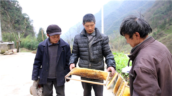 （有修改）【脱贫户的新年愿望】重庆巫溪脱贫户刘才军：养蜂“酿”出致富路