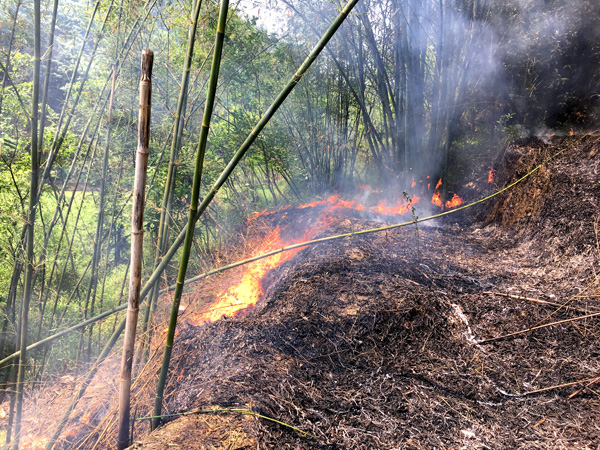 图片默认标题_fororder_火灾现场--供图-长宁县公安局