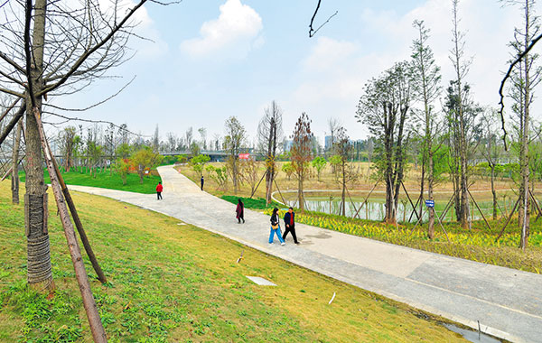 图片默认标题_fororder_2