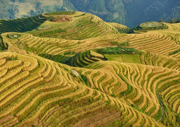Longji Rice Terraces ที่สุดแห่งนาขั้นบันไดโลก_fororder_2