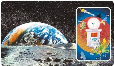 嫦娥四号生物实验揭秘：曾考虑过搭载乌龟去月球