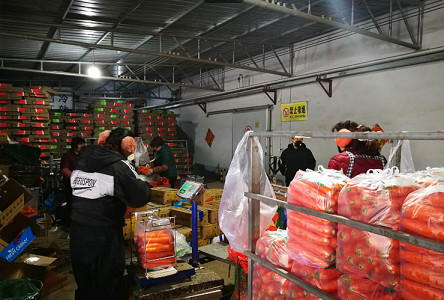 防疫不松劲 扶贫不掉队——河北各地坚决打赢疫情防控和脱贫攻坚两场硬仗