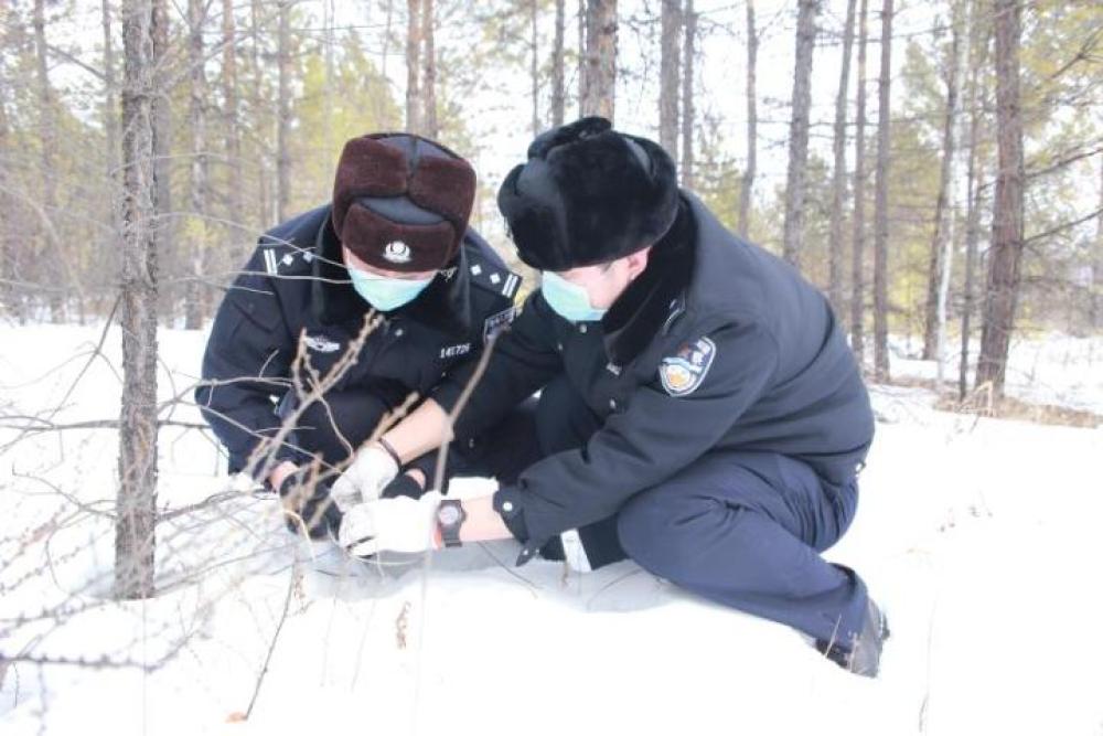 「新华社」“北极”漠河干警加大野外巡查保护野生动物