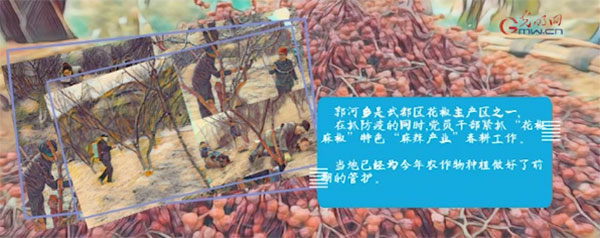 [光明网]战疫故事“绘”丨战疫情不负春光 脱贫一线播撒希望