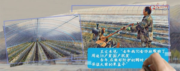 [光明网]战疫故事“绘”丨战疫情不负春光 脱贫一线播撒希望