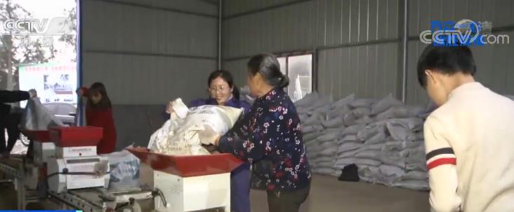 央视网：农业农村部：多措施确保全国早稻面积恢复增加