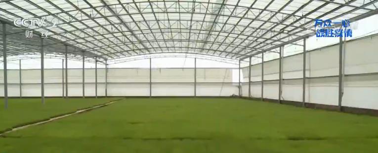 央视网：农业农村部：多措施确保全国早稻面积恢复增加