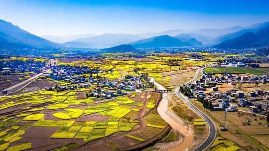 越西县金黄的油菜花已经盛开 供图 凉山州委宣传部 国际在线四川