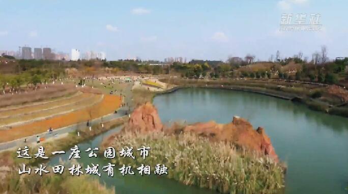 图片默认标题_fororder_QQ截图20190228135333