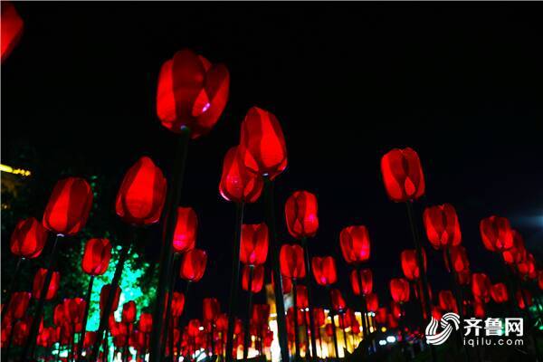 大红灯笼高高挂 东营大街小巷年味十足