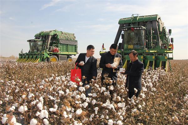 （导航成都）邮储银行：履行国有大行担当 助力实体经济发展