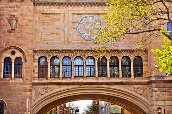 5 耶鲁大学,美国 耶鲁大学创立于1701年,是美国第三悠久的大学,位于