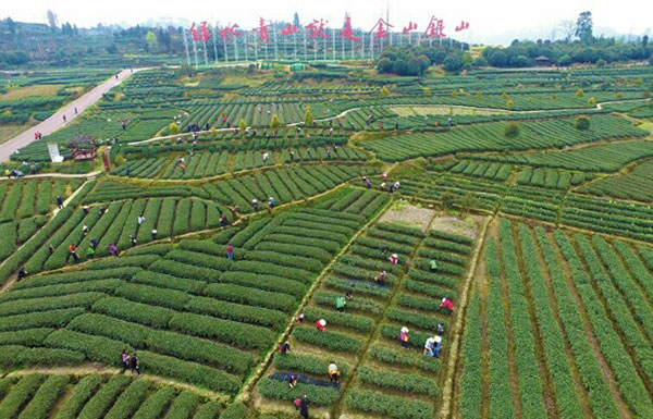 图片默认标题_fororder_2