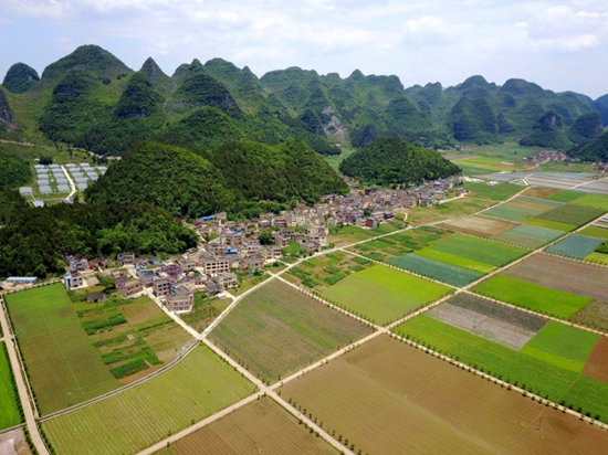 贵州黔西南州：春节“不打烊” 金州发展忙