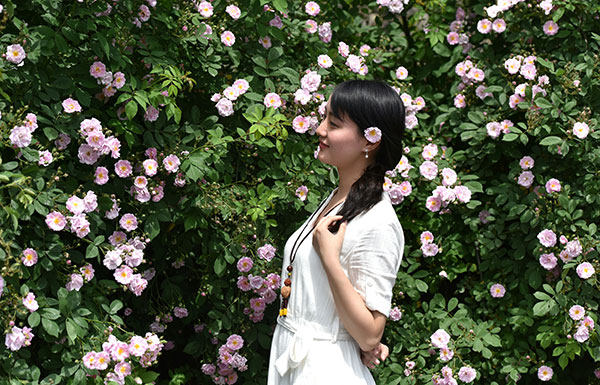 图片默认标题_fororder_4