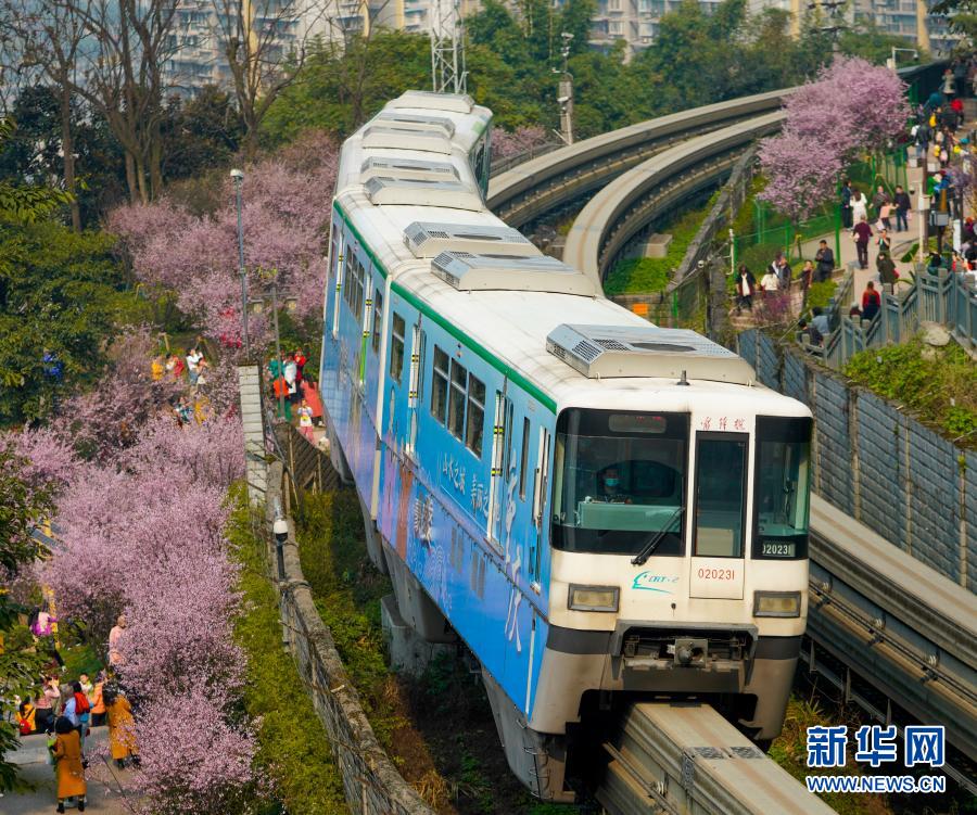 【城市远洋】重庆：一路繁花相送 带你驶向春天