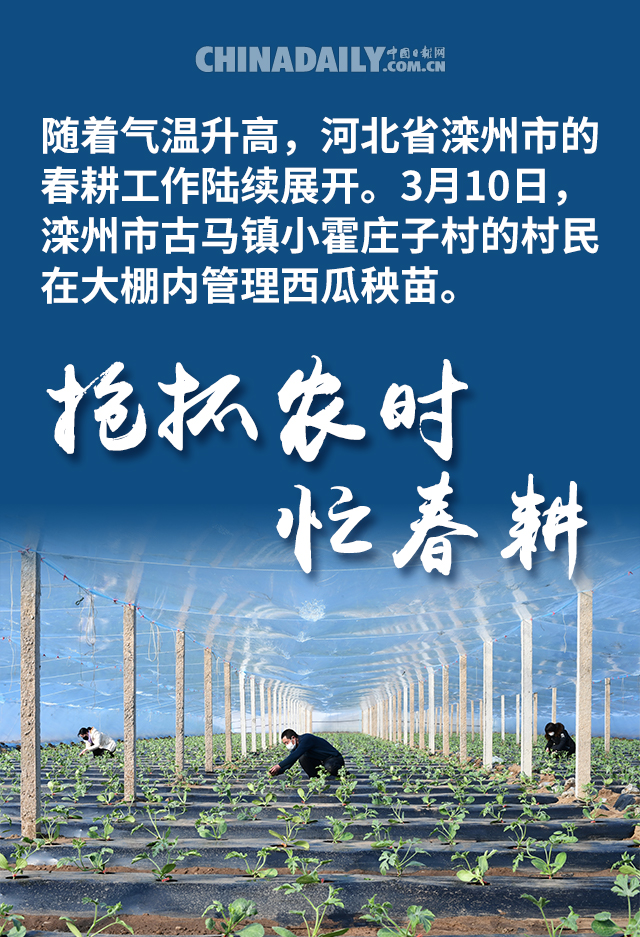 中国日报网■海报 | 不负春日好时光 抢抓农时忙春耕