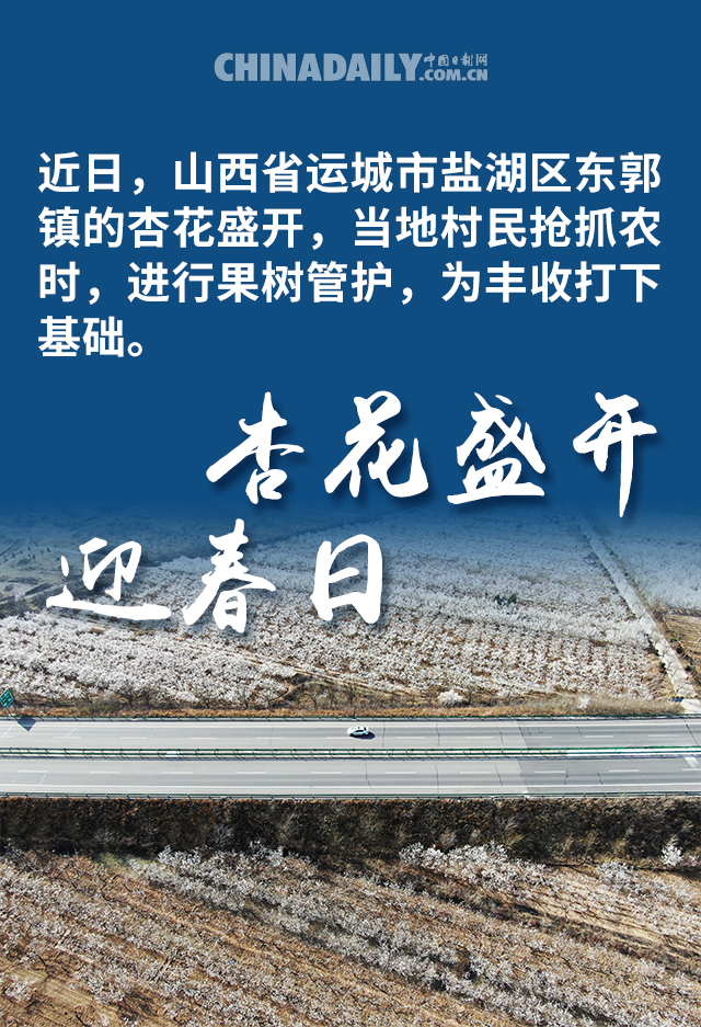中国日报网■海报 | 不负春日好时光 抢抓农时忙春耕