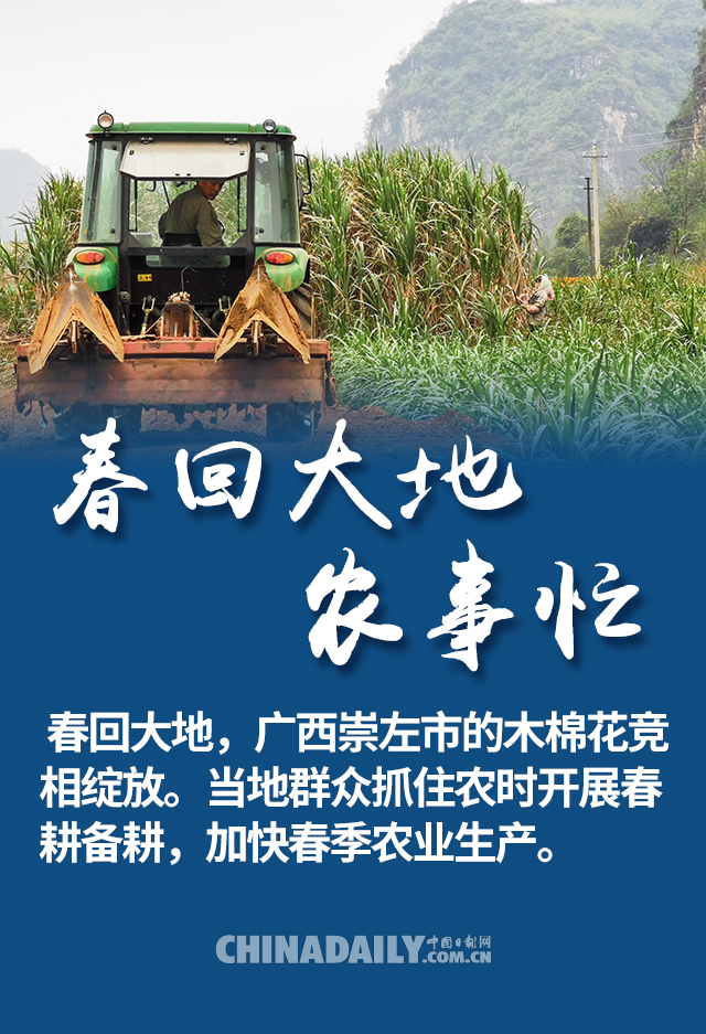 中国日报网■海报 | 不负春日好时光 抢抓农时忙春耕