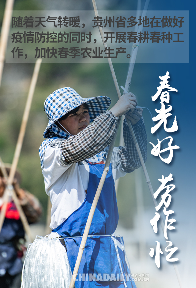 中国日报网■海报 | 不负春日好时光 抢抓农时忙春耕