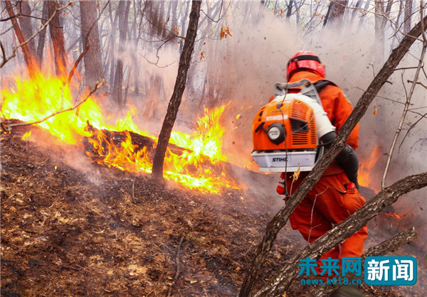 【追梦火焰蓝】北纬53度林海孤岛里的“守护神” ：用生命守护每一棵树