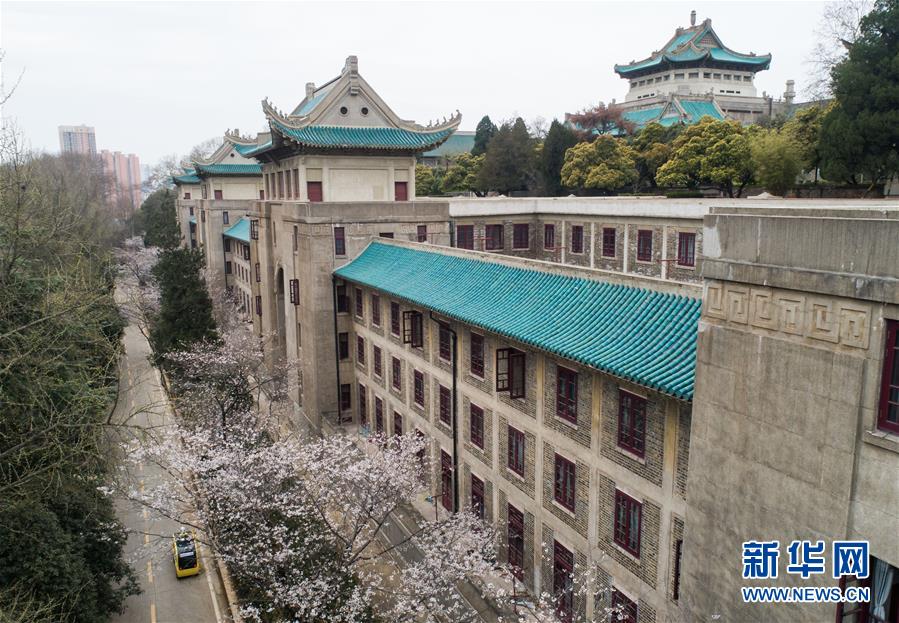 「新华网」武汉大学开通“云赏樱” 向公众展示校园樱花美景