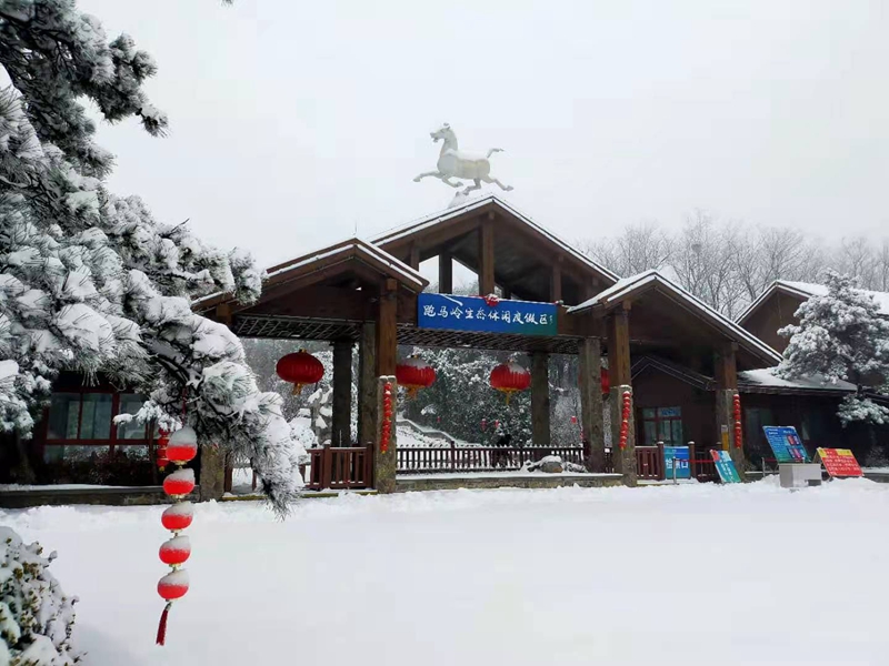 济南跑马岭·齐鲁雪乡度假区迎来辛丑牛年第一场雪 供图 跑马岭