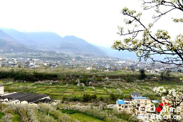 图片默认标题_fororder_春到九襄