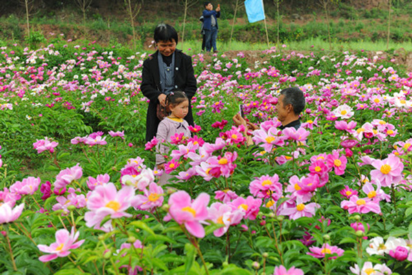 图片默认标题_fororder_元兴西阁修养身心。肖开丰摄
