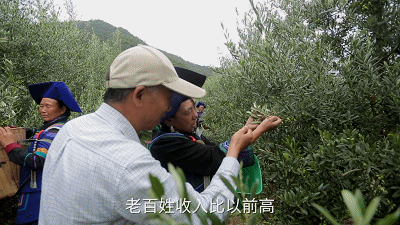 感动！这对台湾父子10年在大凉山打造了一片希望绿洲