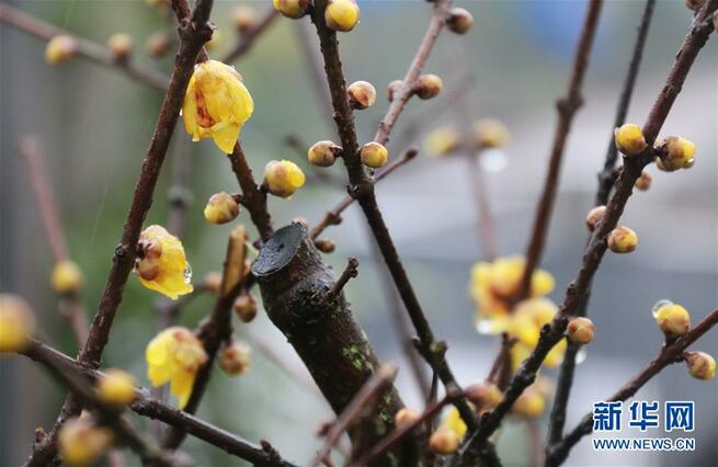 2月17日 水曜日_fororder_0217-2