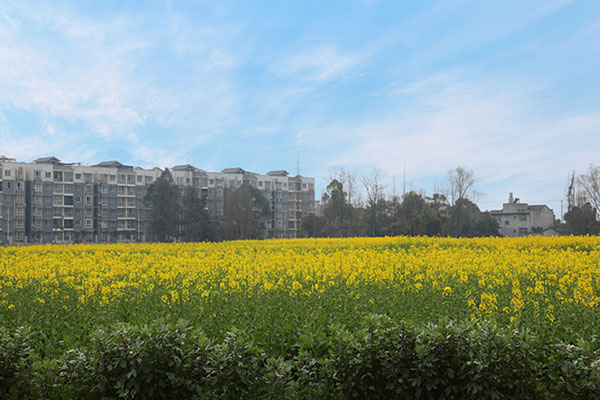 图片默认标题_fororder_2