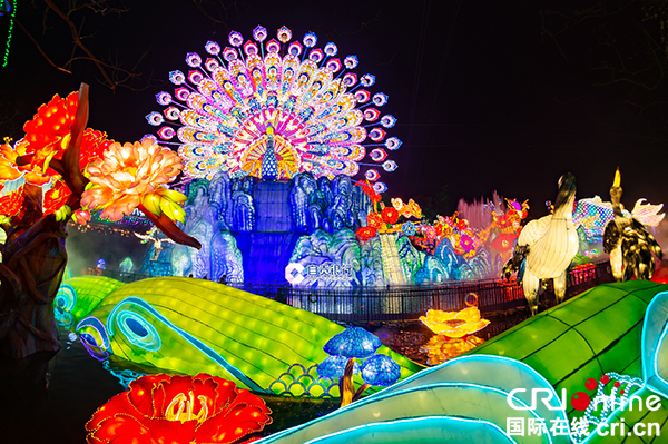 图片默认标题_fororder_自贡国际恐龙灯会预展现场（摄影-廖志全）-(2)