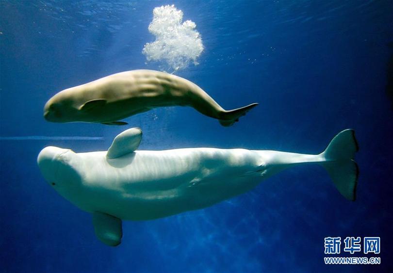 图片默认标题_fororder_1124012054_15478201783211n