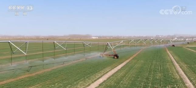 “不误农时”!德州农发行发放春耕备耕贷款 平原一企业获贷千万元