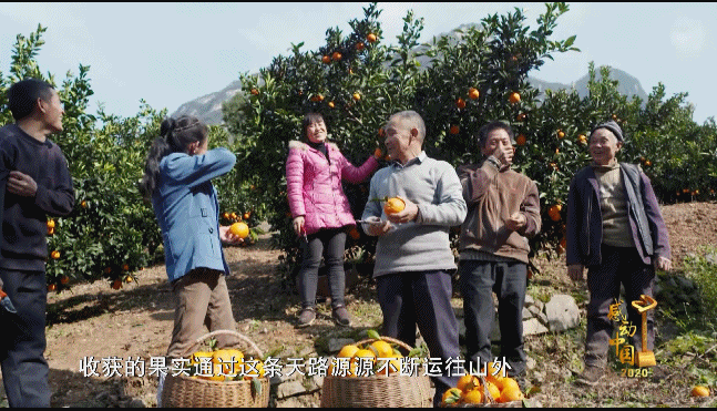 感动中国丨不信天不认命！当代愚公毛相林铺就绝壁天路