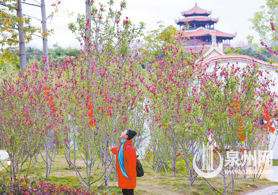 泉州：花开俏争春 寻芳正当时